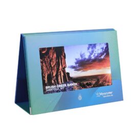 10.1 inch Screen Video POS Display with Foldable Stand